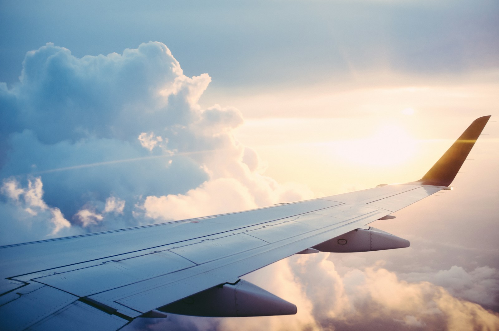 25 Lives Remembered: Artists and Public Figures Lost in Aviation Tragedies